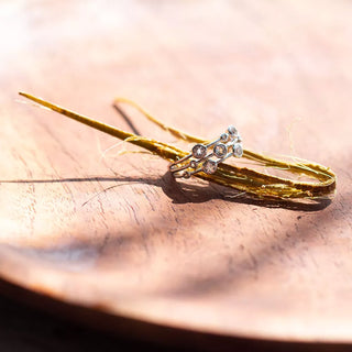 Stříbrný prsten Hot Diamonds Willow DR207