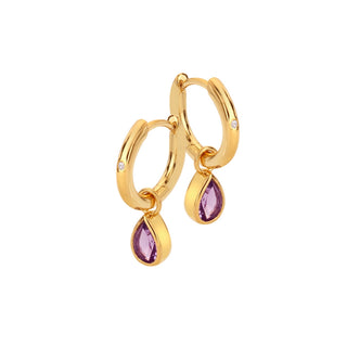 Pozlacené stříbrné náušnice Hot Diamonds X Golden Edit Amethyst DE901