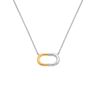 Pozlacený stříbrný náhrdelník Hot Diamonds Carabiner DN254