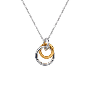 Pozlacený stříbrný náhrdelník Hot Diamonds Eternity DP1111