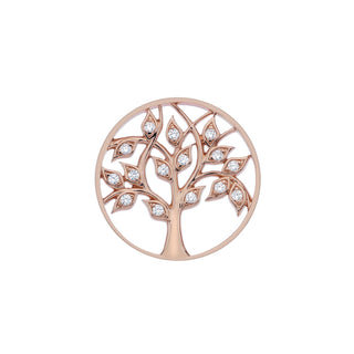 Přívěsek Hot Diamonds Emozioni Balance and Harmony Coin Rose Gold 33 mm EC429