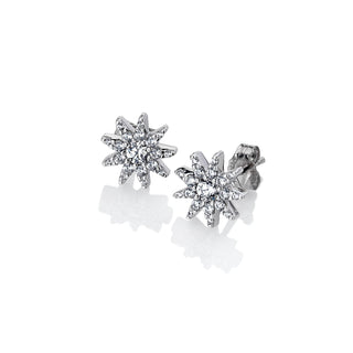Stříbrné náušnice Hot Diamonds Emozioni Stella EE037