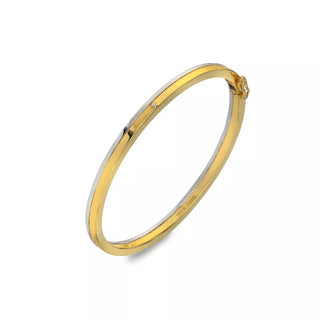 Pevný pozlacený stříbrný náramek Hot Diamonds Parellel DC226