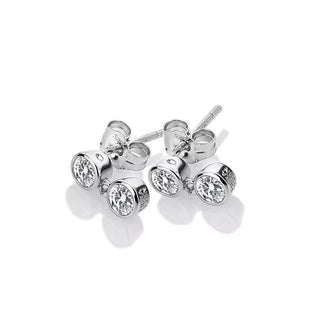 Stříbrné náušnice Hot Diamonds Willow DE586