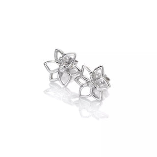 Stříbrné náušnice Hot Diamonds Diamond Amulets DE711