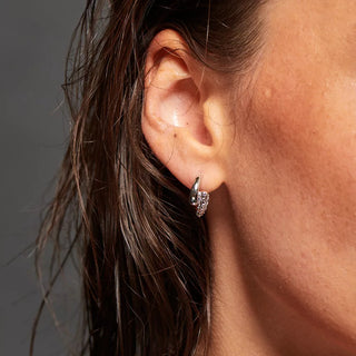 Stříbrné náušnice Hot Diamonds Aster DE860