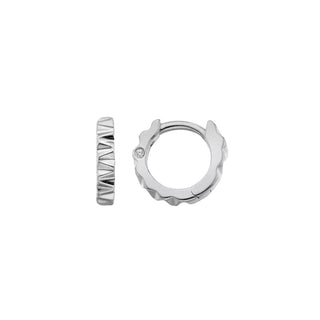 Stříbrné náušnice Hot Diamonds Much Loved DE870
