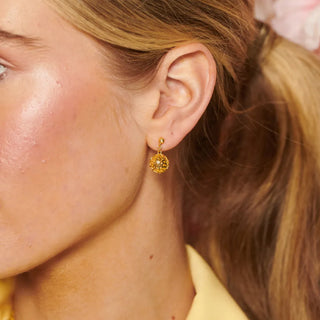 Pozlacené stříbrné náušnice Hot Diamonds X Golden Edit Orb DE884