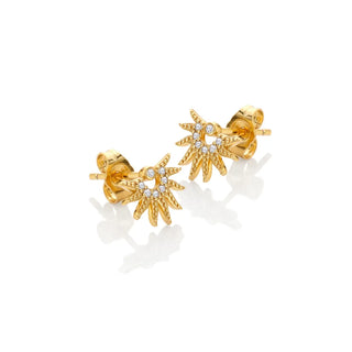 Pozlacené stříbrné náušnice Hot Diamonds X Golden Edit SOL DE897