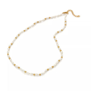 Stříbrný pozlacený náhrdelník Hot Diamonds x Jac Jossa Soul DN157
