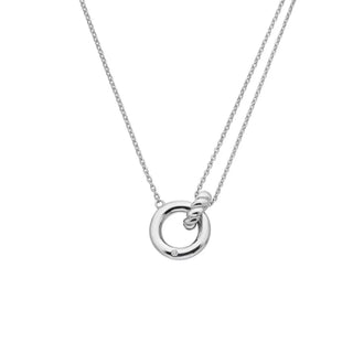 Stříbrný náhrdelník Hot Diamonds Willow DN210