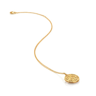 Pozlacený stříbrný náhrdelník Hot Diamonds X Golden Edit Athena DP1104