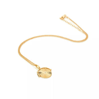 Stříbrný pozlacený náhrdelník Hot Diamonds x Jac Jossa Hope DP850