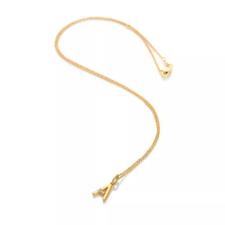 Pozlacený náhrdelník Hot Diamonds x Jac Jossa Soul A DP939