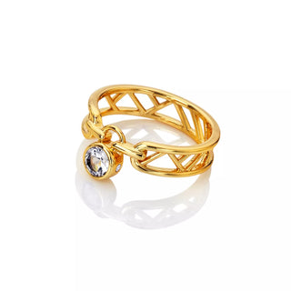 Pozlacený stříbrný prsten HD x Golden Edit Revolve DR301