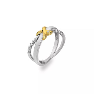 Pozlacený stříbrný prsten Hot Diamonds Coupled DR306